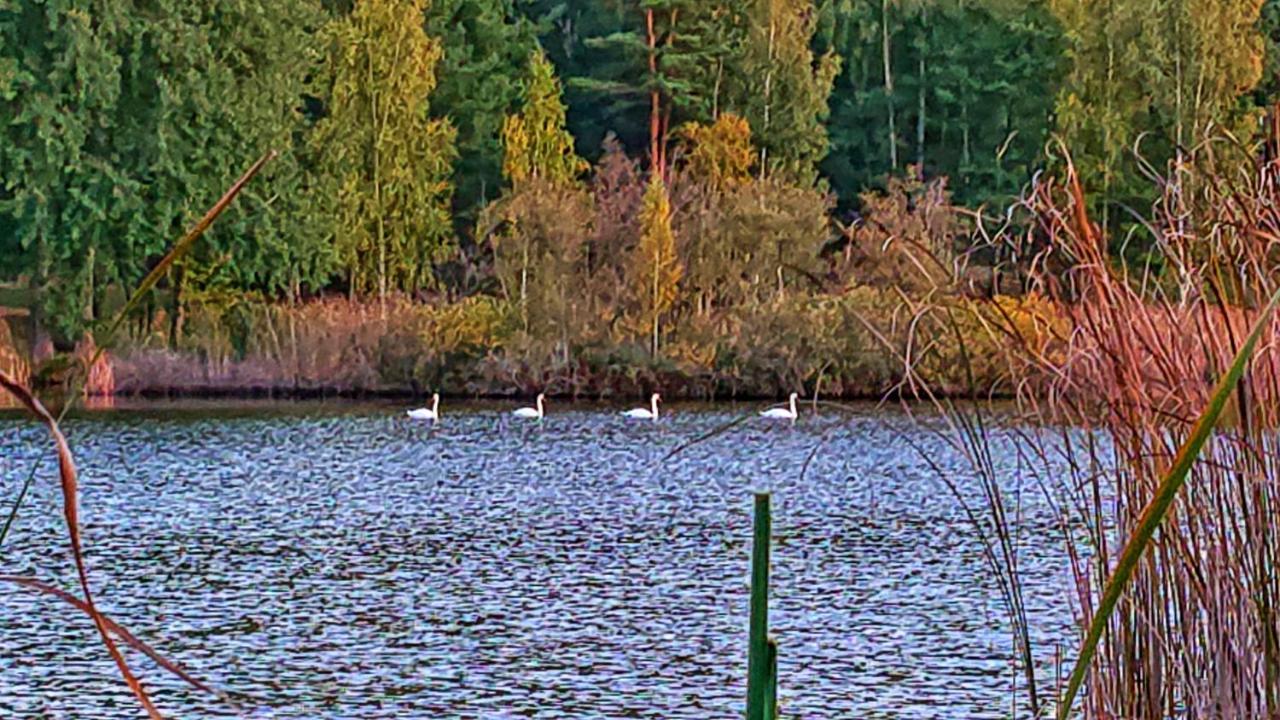 Pensiunea Lacul Mocearu Ξενοδοχείο Budesti  Εξωτερικό φωτογραφία